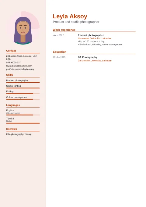 Preview of the CV of Leyla Aksoy in the Modern design