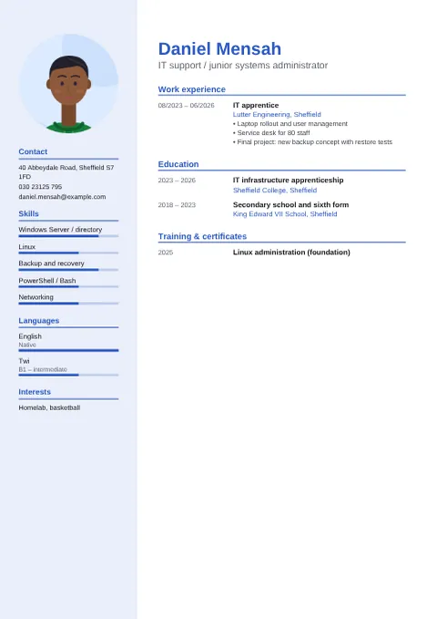 Preview of the CV of Daniel Mensah in the Modern design