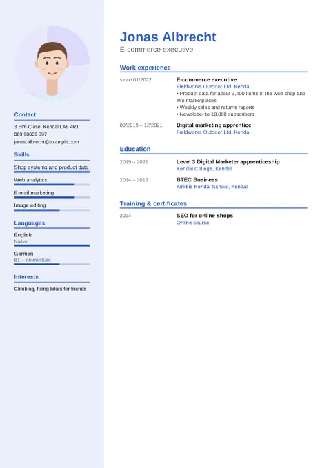 Preview of the “Modern” CV design with sample details